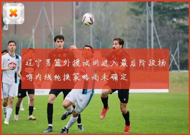 辽宁男篮外援试训进入最后阶段杨鸣内线轮换策略尚未确定